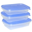 Набор контейнеров, 0,95 л х 3 Серия: Take Away инфо 4245r.